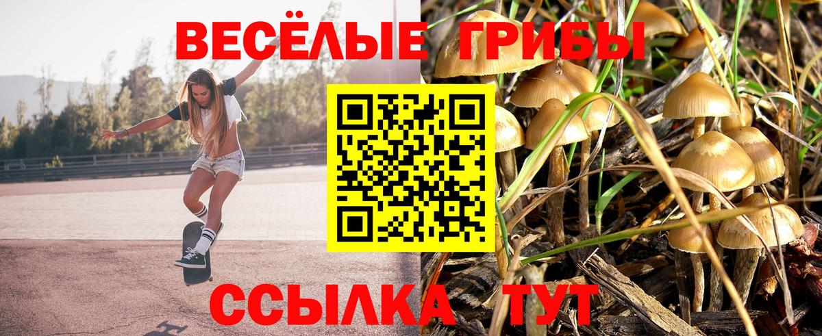 Псилоцибиновые грибы GOLDEN TEACHER Лиски